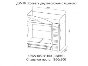 ДМ-16 Кровать двухъярусная с ящиком в Александровске - aleksandrovsk.магазин96.com | фото