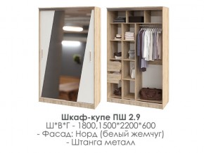 шкаф-купе ПШ-2.9 1500 Норд Белый жемчуг 1500 в Александровске - aleksandrovsk.магазин96.com | фото