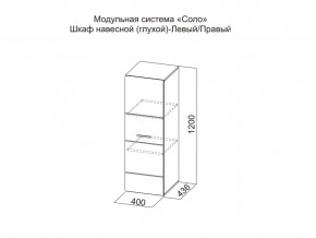 Шкаф навесной (глухой) Левый в Александровске - aleksandrovsk.магазин96.com | фото