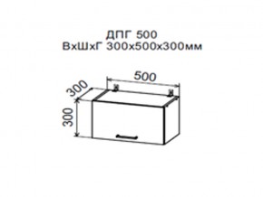 Шкаф верхний ДПГ500 горизонтальный в Александровске - aleksandrovsk.магазин96.com | фото