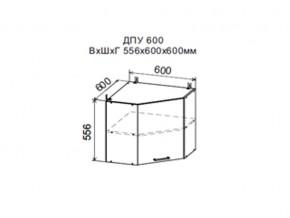 Шкаф верхний ДПУ600 угловой в Александровске - aleksandrovsk.магазин96.com | фото