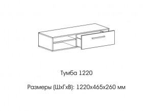 Тумба 1220 (низкая) в Александровске - aleksandrovsk.магазин96.com | фото