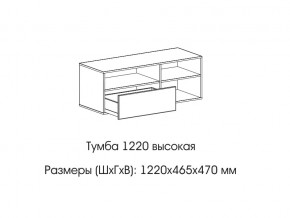 Тумба 1220 (высокая) в Александровске - aleksandrovsk.магазин96.com | фото